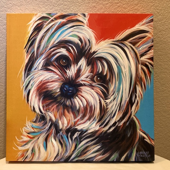 Sweet Yorkie by Carolee Vitaletti Canvas Print 16X16x1.5 Ready to Hang Wall Art - Picture 1 of 12